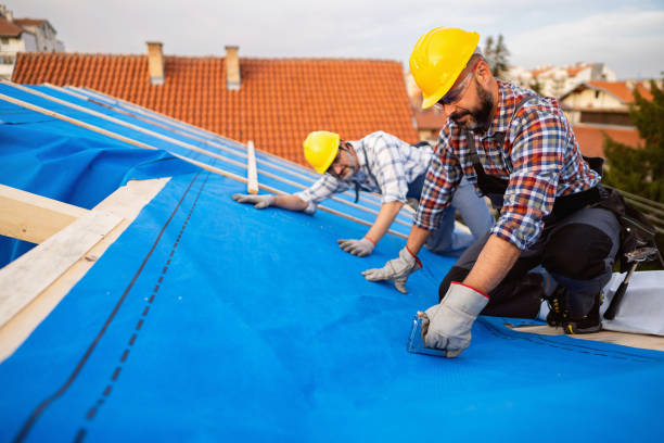 Best Storm Damage Roof Repair  in Hawarden, IA